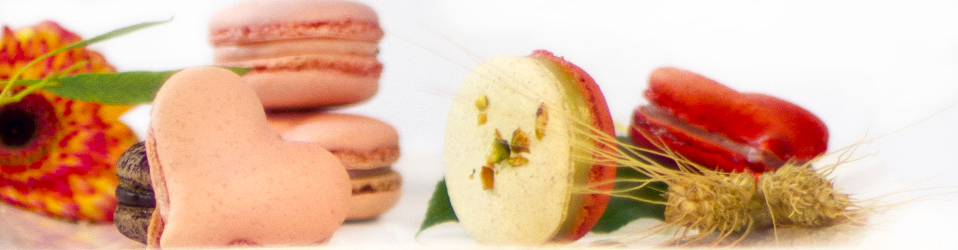 Rocq Macarons